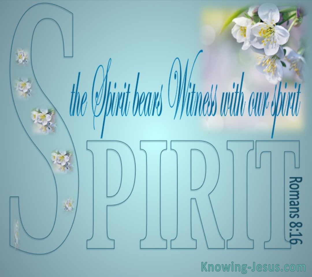 Romans 8:16 The Spirit Bears Witness (blue)